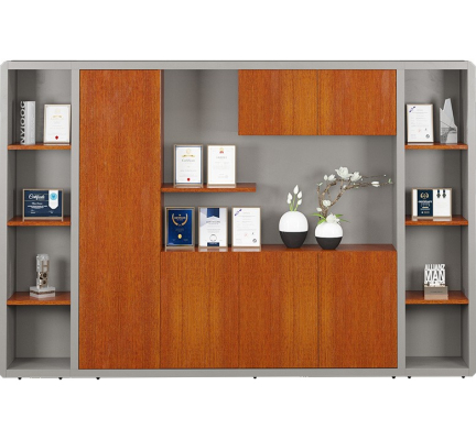 Tủ tài liệu Veneer