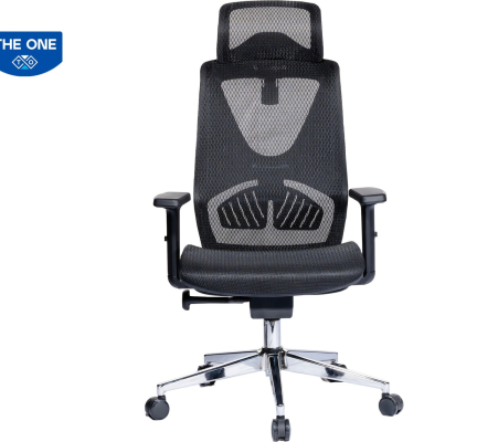 GHẾ CÔNG THÁI HỌC