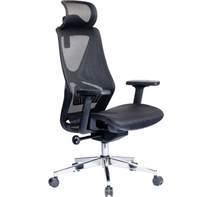 GHẾ CÔNG THÁI HỌC