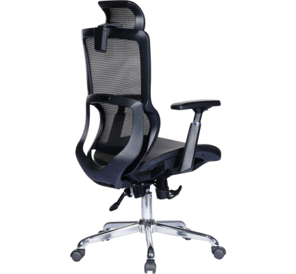 GHẾ CÔNG THÁI HỌC