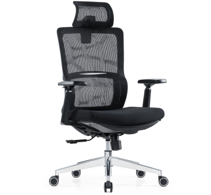 GHẾ CÔNG THÁI HỌC