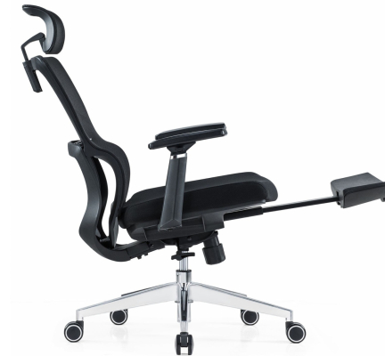 GHẾ CÔNG THÁI HỌC