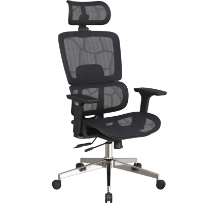 GHẾ CÔNG THÁI HỌC