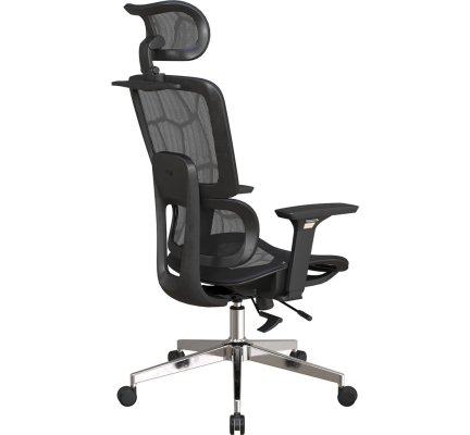 GHẾ CÔNG THÁI HỌC