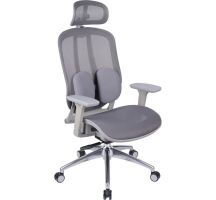 GHẾ CÔNG THÁI HỌC