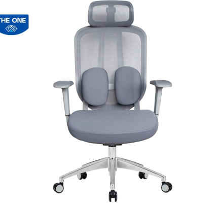 GHẾ CÔNG THÁI HỌC