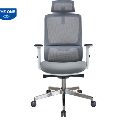 GHẾ CÔNG THÁI HỌC