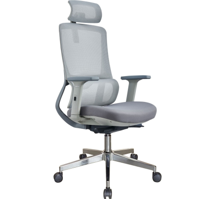 GHẾ CÔNG THÁI HỌC