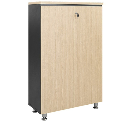 Tủ tài liệu Leader