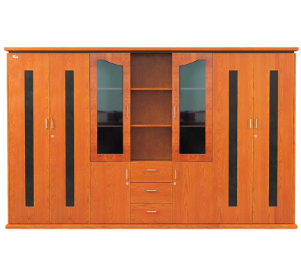 TỦ TÀI LIỆU VENEER