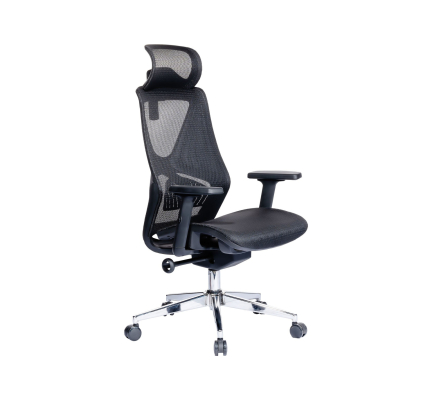 GHẾ CÔNG THÁI HỌC