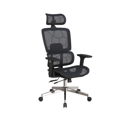 GHẾ CÔNG THÁI HỌC