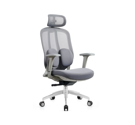 GHẾ CÔNG THÁI HỌC